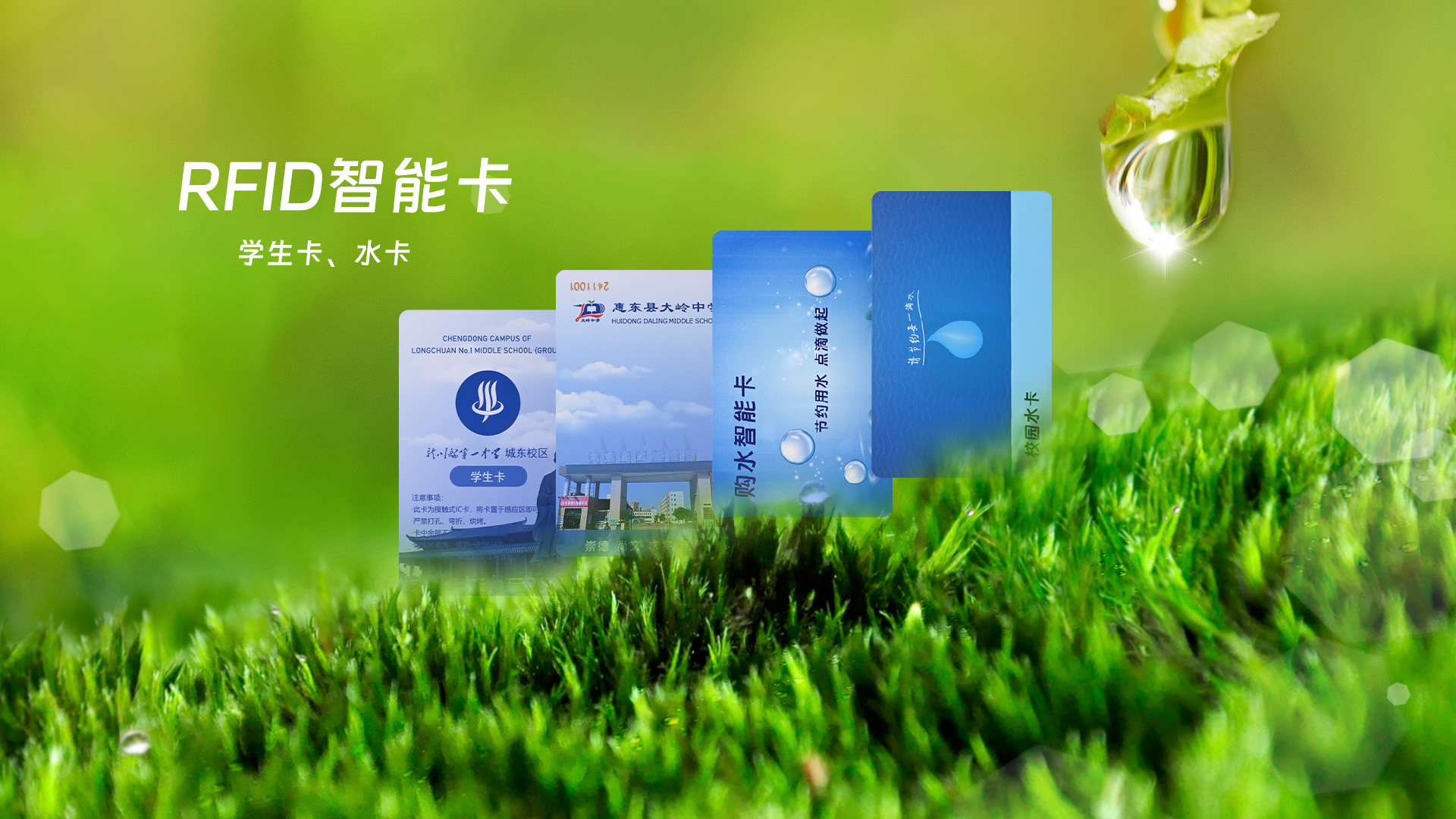 微信图片_20250319112821