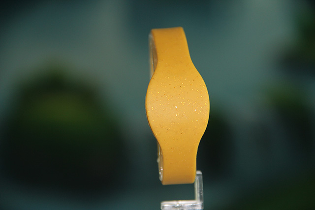 IC腕带芯片与RFID电子标签_6